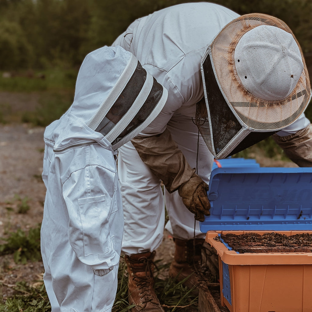 Beekeeping + Tasting With A Honey Sommelier Experience