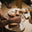 Tasting With A Honey Sommelier Experience